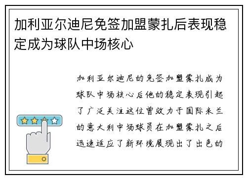 加利亚尔迪尼免签加盟蒙扎后表现稳定成为球队中场核心